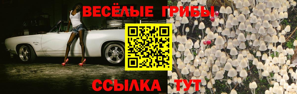 Михайловка  Галлюциногенные грибы прущие грибы  Вход с VPN 
